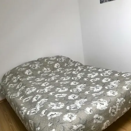 Apartment In The Centre Mukacheve