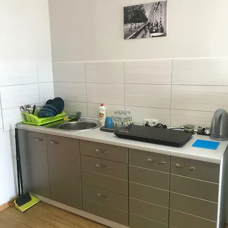 Apartment In The Centre Mukacheve