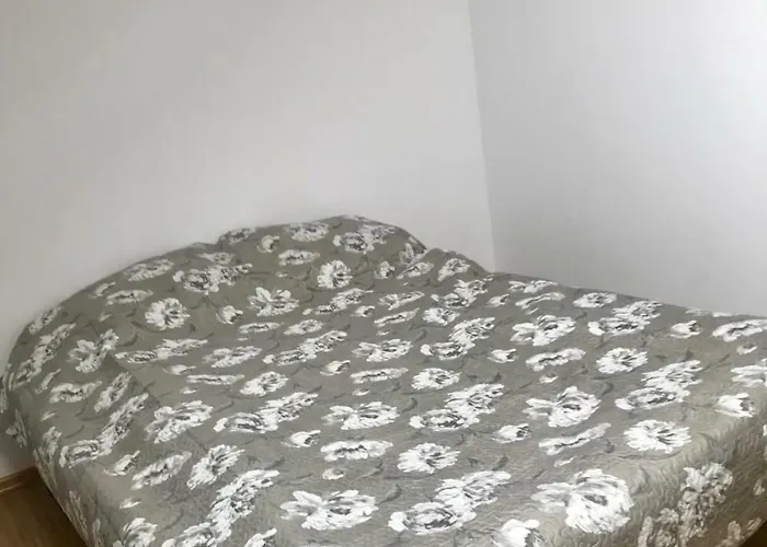 Apartment In The Centre Mukacheve