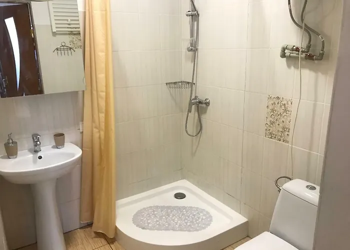 Apartment In The Centre Mukacheve